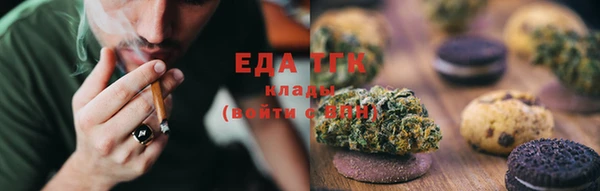 гидра Бородино