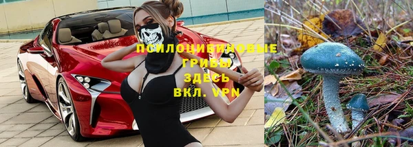 крисы Верхнеуральск