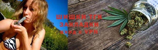 гидра Бородино