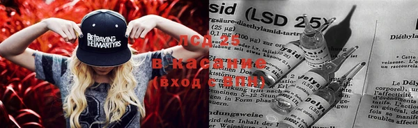 винт Верея