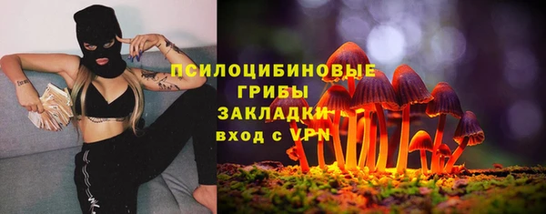 скорость Бронницы