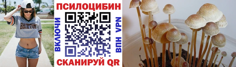 мега зеркало  Елизаветинская  Галлюциногенные грибы прущие грибы 