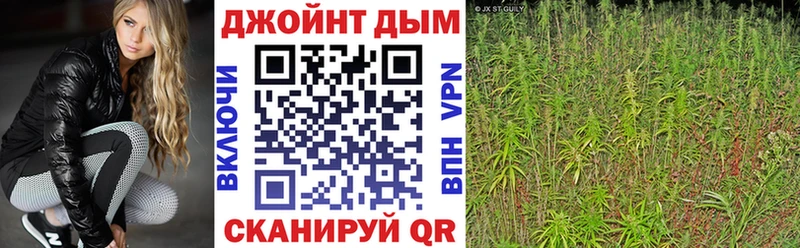 blacksprut рабочий сайт купить наркотики сайты Елизаветинская Шишки марихуана Amnesia